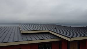 Best Roof Waterproofing  in Bushnell, IL